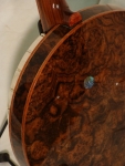DSC08138.jpg