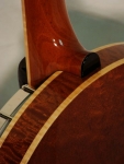 DSC08155.jpg
